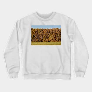 Oak forest in the autumn Crewneck Sweatshirt